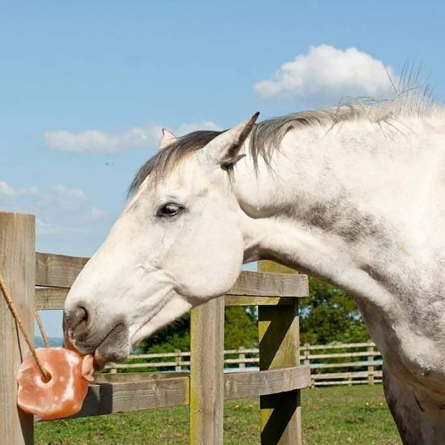 How to make animal lick salt with 5 kinds of equipment!